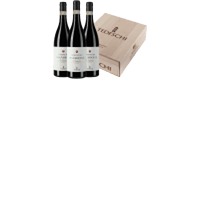 Sammlerbox: Tedeschi Amarone Classico / Marne