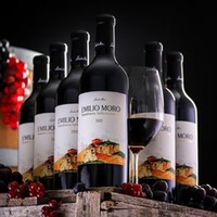 Tempranillo Vendimia Seleccionada