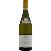 Chardonnay - Nuiton-Beaunoy