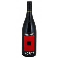 Blaufränkisch Hochäcker Urknall2 DAC Reserve bio