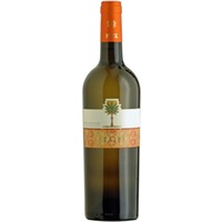 Fina Vini Zibibbo Terre Sizilienne IGP Taif - - Sizilien, Italien