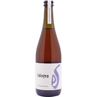 Falistra Lambrusco di Sorbara DOC - Podere il Saliceto