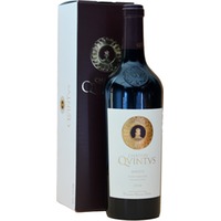 Chateau Quintus Staint-Emilion Grand Cru im 1er OGK