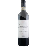 Terra Calcinara Conero DOCG Riserva BIO