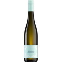 Riesling Buntsandstein trocken - Weingut Dambach