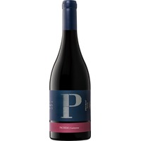 Pachem Carinyena Magnum Priorat DOCa trocken 1,5 L - Clos Pachem