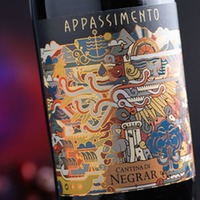 Rosso Veneto Appassimento