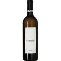 Sattlerhof Gamlitzer Morillon Chardonnay
