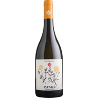 Catalu Bio Catarratto Sicilia DOC