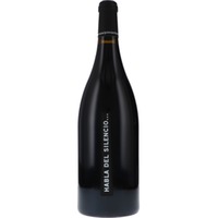 Habla del Silencio Habla