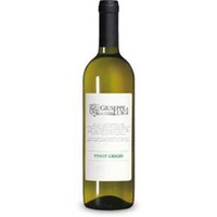 Pinot Grigio