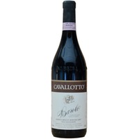 Cavallotto Bricco Boschis Vigna San Giuseppe Barolo Riserva