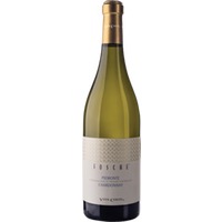 Vite Colte Piemonte Chardonnay DOC Fosche - - Piemont, Italien