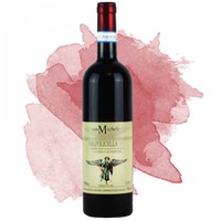 Valpolicella Classico Sup. (San Michele)