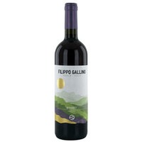 Filippo Gallino Birbet Brachetto d Acqui DOCG, Piemont Italien