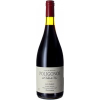 Poligonos San Pablo Malbec - Familia Zuccardi
