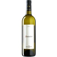 Morillon Ried Pfarrweingarten