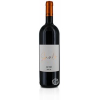 Dalt Turo, Saulo 2020, Vino Tinto, 0,75-l-Flasche