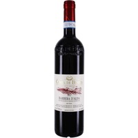 Costa di Bussia Barbera d´Alba