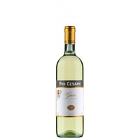 Pio Cesare Gavi DOCG - - Piemont, Italien