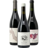 Viaje al Valle de Uco Tinto - Paket