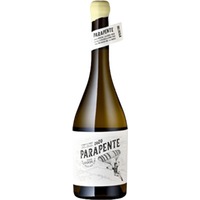 Pine Nuts Vines & Wine Loureiro Parapente - - Vinho verde, Portugal