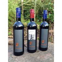 Maria durch ein Dornfeld ging Dornfelder