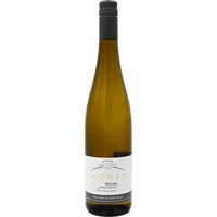 Riesling -Buntsandstein trocken - Weingut Möwes