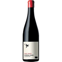 Mas Amiel : Oiseau Rare