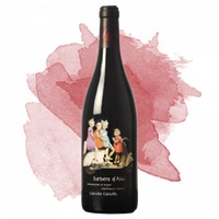 Barbera d'Asti Vespa DOCG (Cascina Castlet)