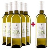5+1 Paket "Pure" Welschriesling trocken - Artisan Wines