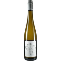 Riesling Ruppersthal - Weingut Michael Bauer