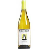 Ignaz Niedrist: Pinot Bianco Berg, Weissburgunder Berg 2022