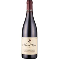 Martin Wassmer Schlatter Maltesergarten Spaetburgunder Qba Trocken