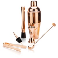 Professional Bar Set [Kupfer]