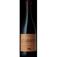 Cabriz Touriga Nacional - Rotwein