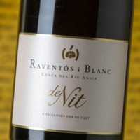 Raventós i Blanc de Nit Magnum
