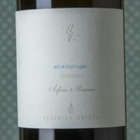 Verónica Ortega Tormenta