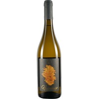 Harmoniae Flegrei Campi Flegrei DOC trocken - Cantine Babbo