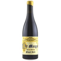 Timo Mayer The Doktor