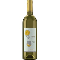 Sauvignon Superiore Friuli Aquileia DOC - Foffani