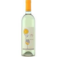 Ribolla Gialla Venezia Giulia IGP - Foffani