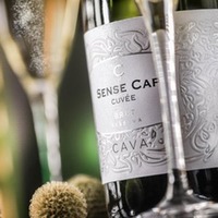 Cava Reserva Sense Cap Brut Bio