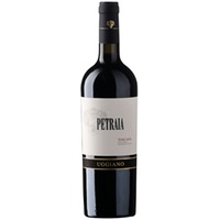 Uggiano Petraia Merlot Toscana IGT