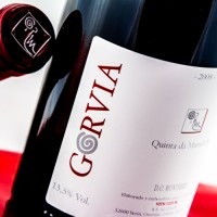 Gorvia Tinto