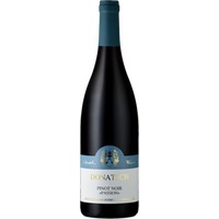 Graubünden Pinot Noir Passion - Weingut Domain Donatsch