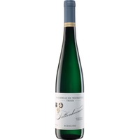 Trittenheimer Riesling unter 4, Extra Trocken, Mosel, Mosel, 2023, Weißwein