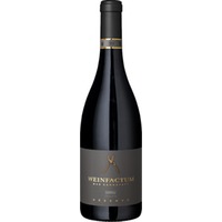 Weinfactum Bad Cannstatt Shiraz Réserve, Trocken, Württemberg, Württemberg, 2022, Rotwein