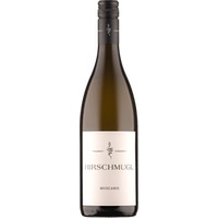 Muscaris NEW RELEASE