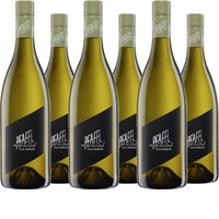 Grüner Veltliner VOM HAUS
